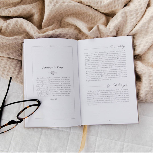 Praying Scripture for Pregnancy & Infant Loss Journal - Heartfelt Gift Box