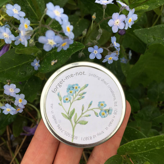 Garden Sprinkles | Forget-Me-Not | Wedding favor idea - Heartfelt Gift Box