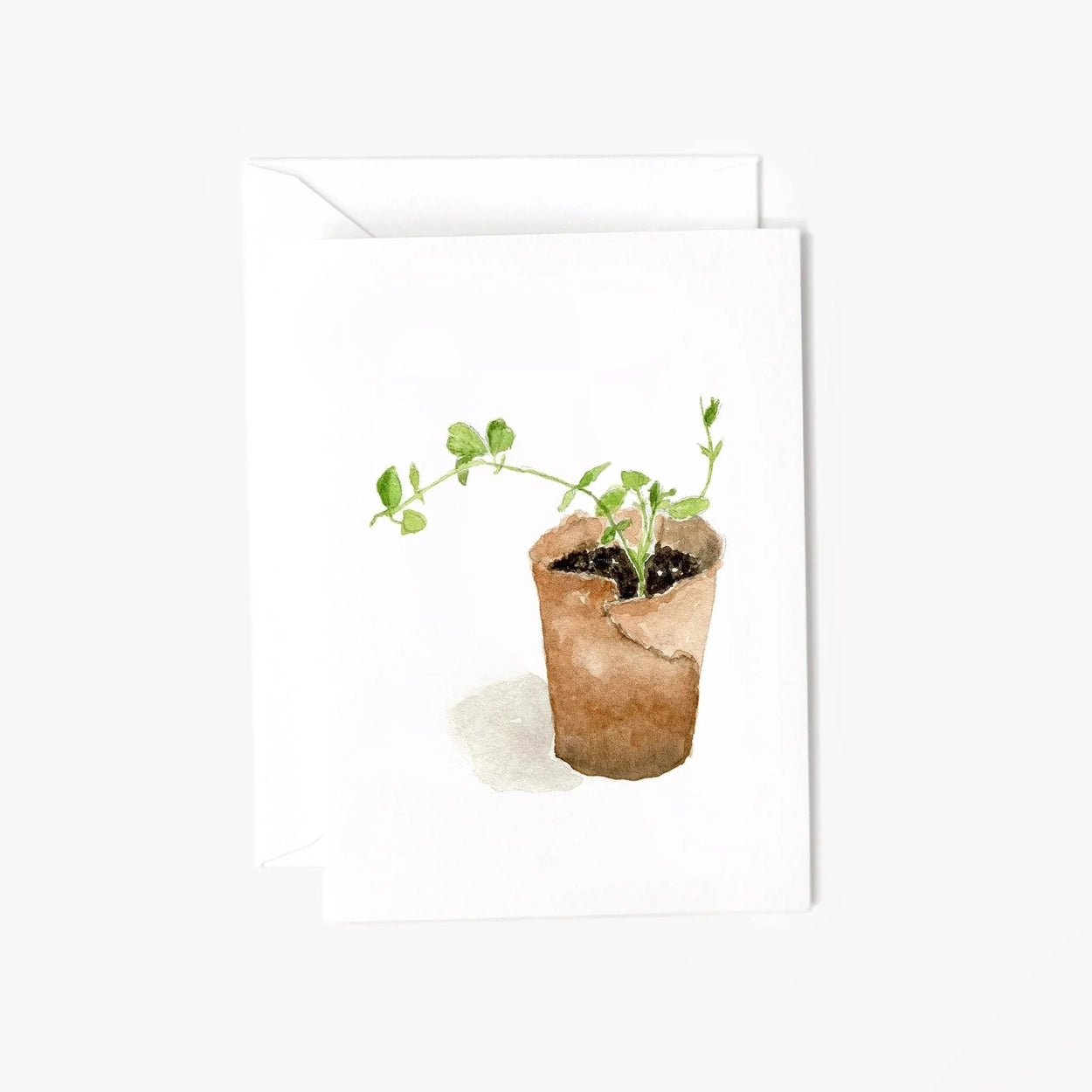 Sweet Pea Notecard - Heartfelt Gift Box