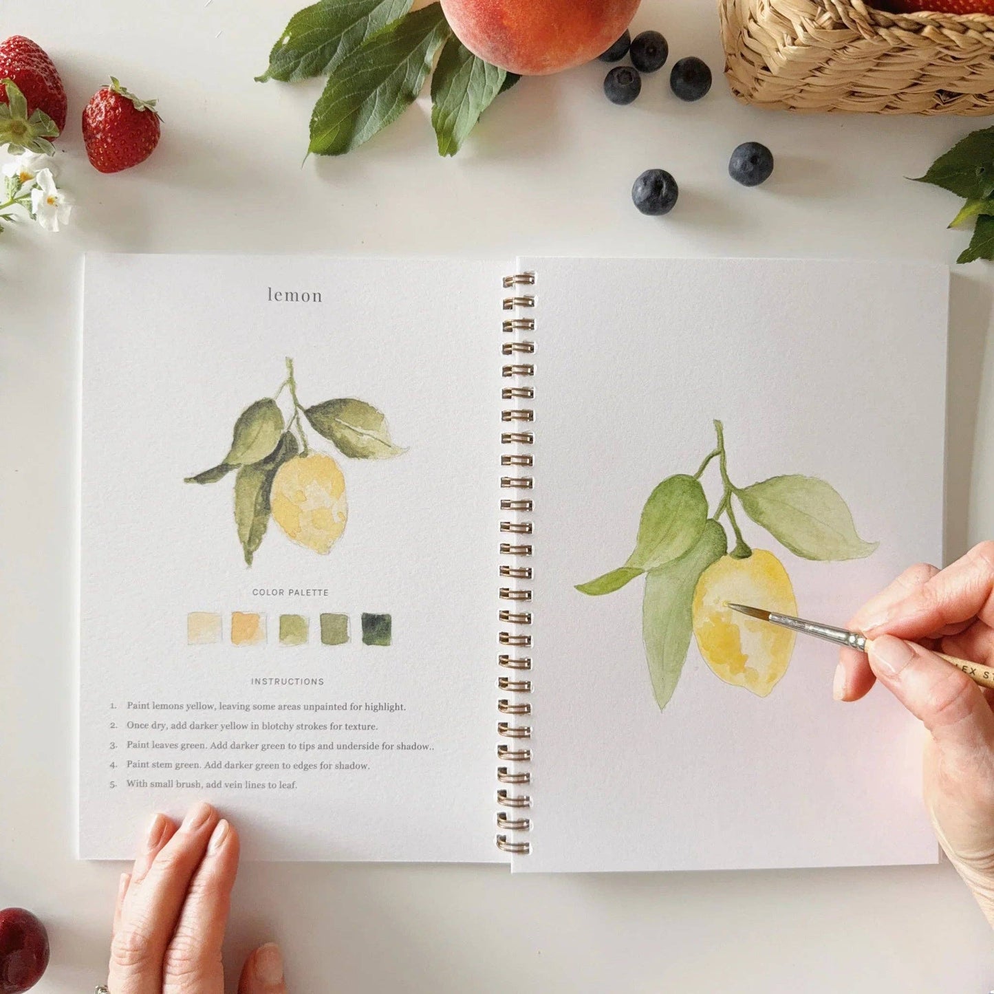 Fruit Watercolor Workbook - Heartfelt Gift Box