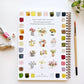 Bouquets watercolor workbook - Heartfelt Gift Box