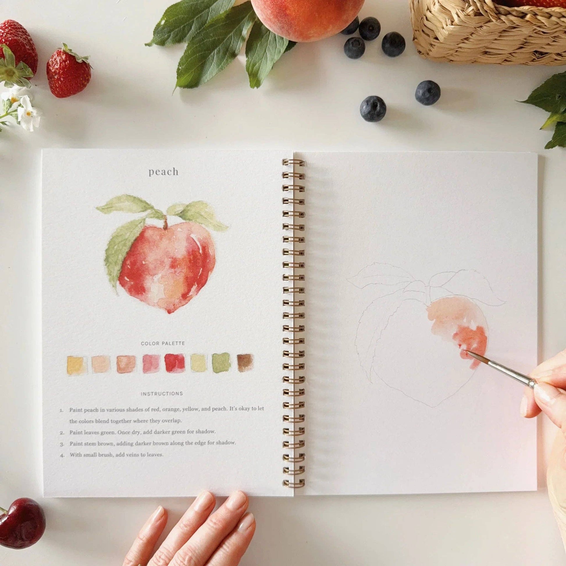 Fruit Watercolor Workbook - Heartfelt Gift Box