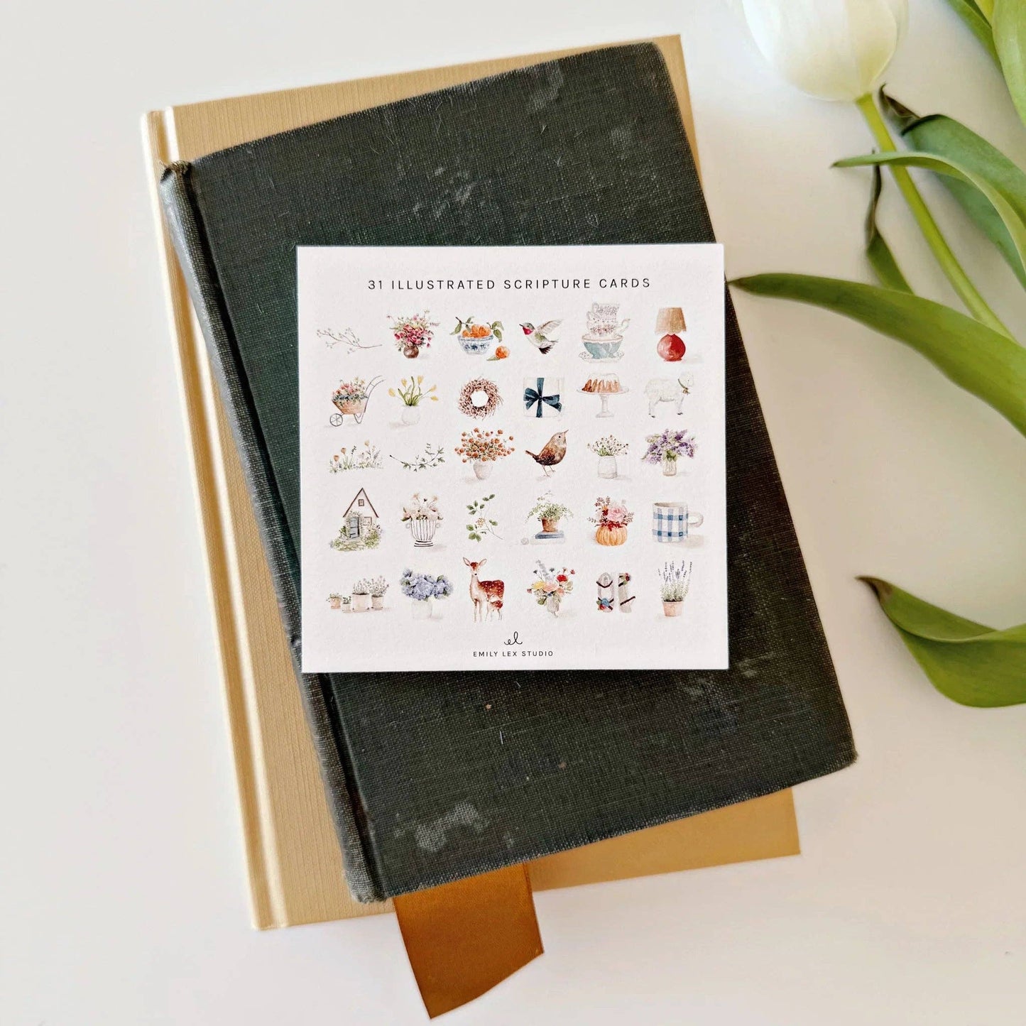 Truth for today psalms cards - Heartfelt Gift Box