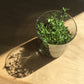 Garden Sprinkles | Lavender | Best Seller | Spring gift idea - Heartfelt Gift Box