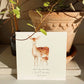 Truth for today psalms cards - Heartfelt Gift Box