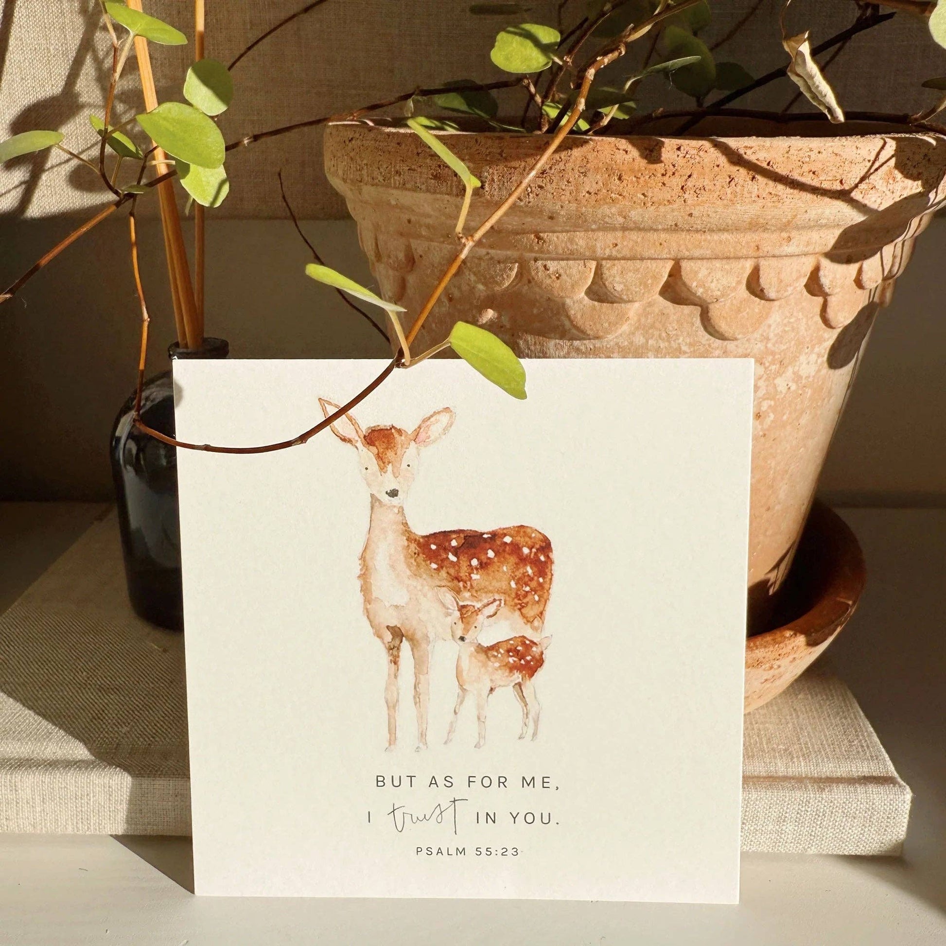 Truth for today psalms cards - Heartfelt Gift Box