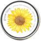 Garden Sprinkles | Grow Love Sunflower | Spring Gift - Heartfelt Gift Box