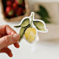 Lemon sticker - Heartfelt Gift Box
