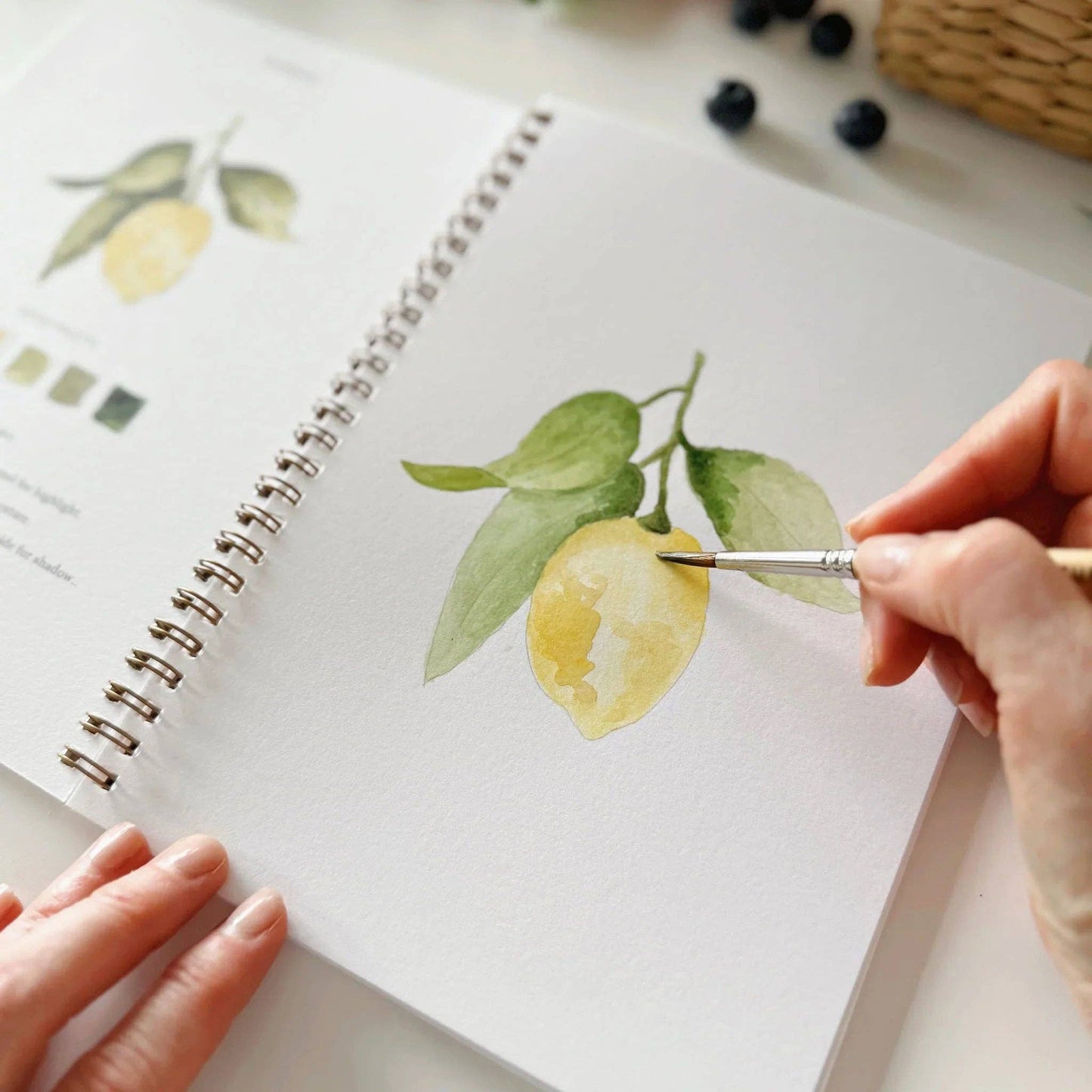 Fruit Watercolor Workbook - Heartfelt Gift Box