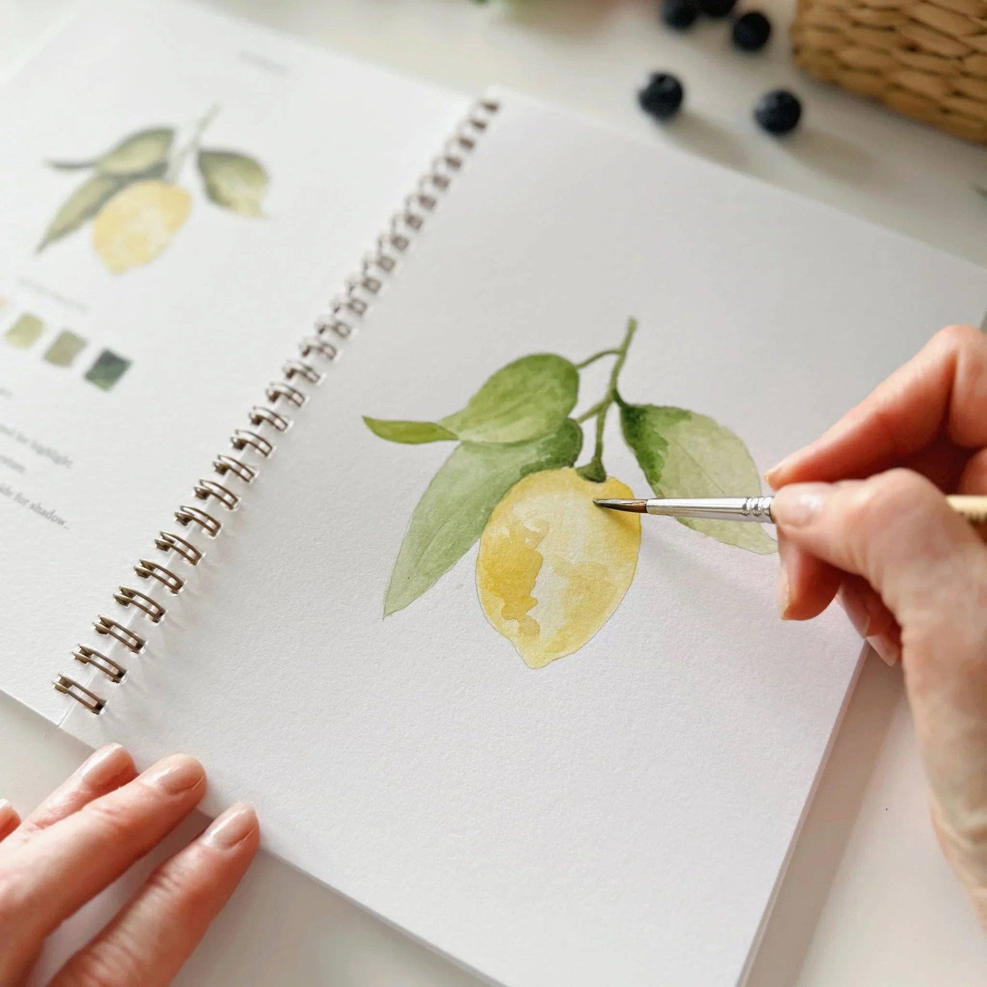 Fruit Watercolor Workbook - Heartfelt Gift Box