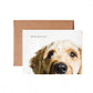 Buckaroo Greeting Card