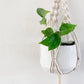 Macrame Plant Hanger