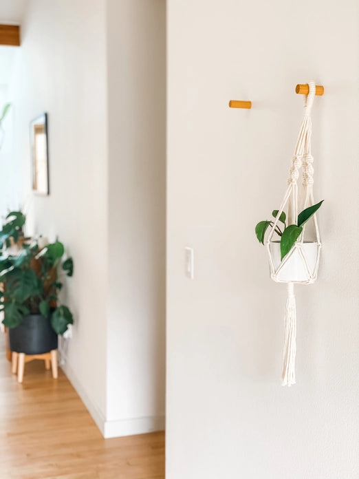 Macrame Plant Hanger