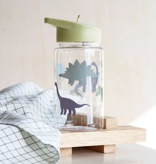 Kid's Water Bottle | Dinosaurs - Heartfelt Gift Box